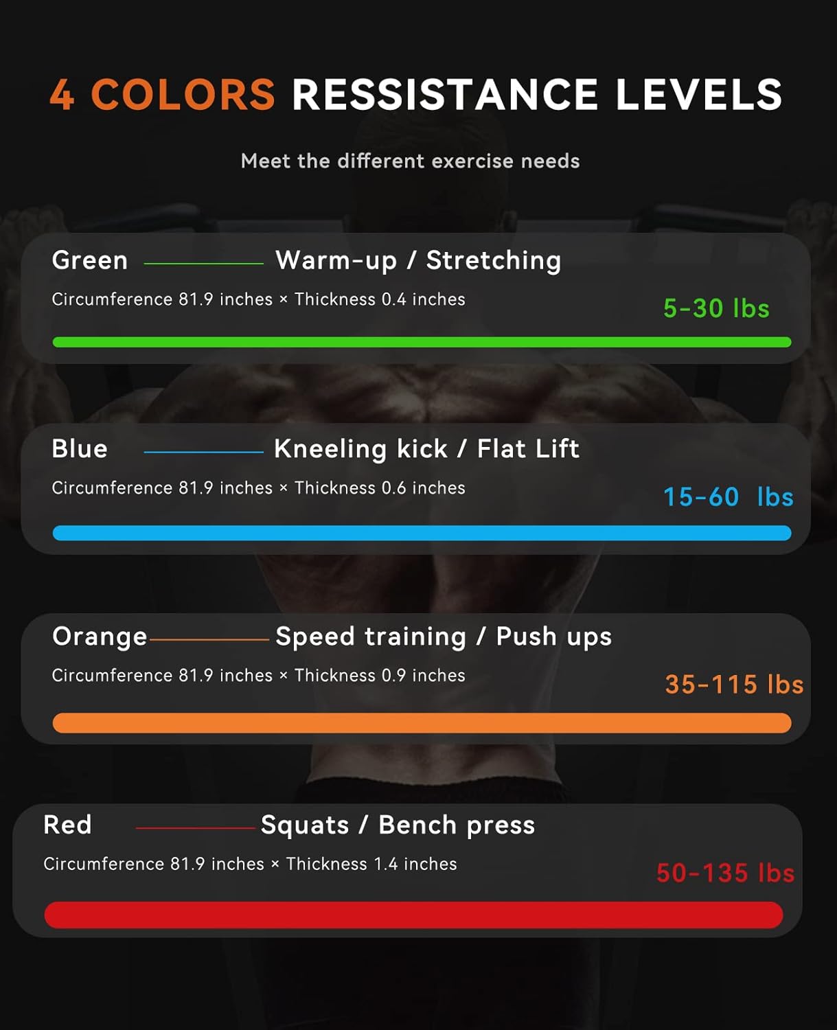 Pull up Assistance Bands, Resistance Heavy Duty Workout Exercise Stretch Fitness Bands Assist Set for Body, Instruction Guide and Carry Bag Included