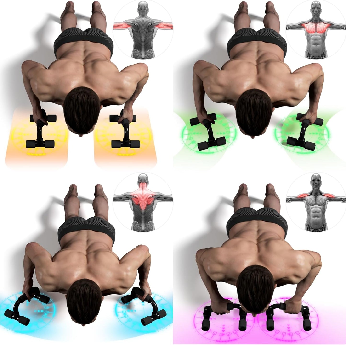 Push up Bars Gym Exercise Equipment Fitness 1 Pair Pushup Handles with Cushioned Foam Grip and Non-Slip Sturdy Structure